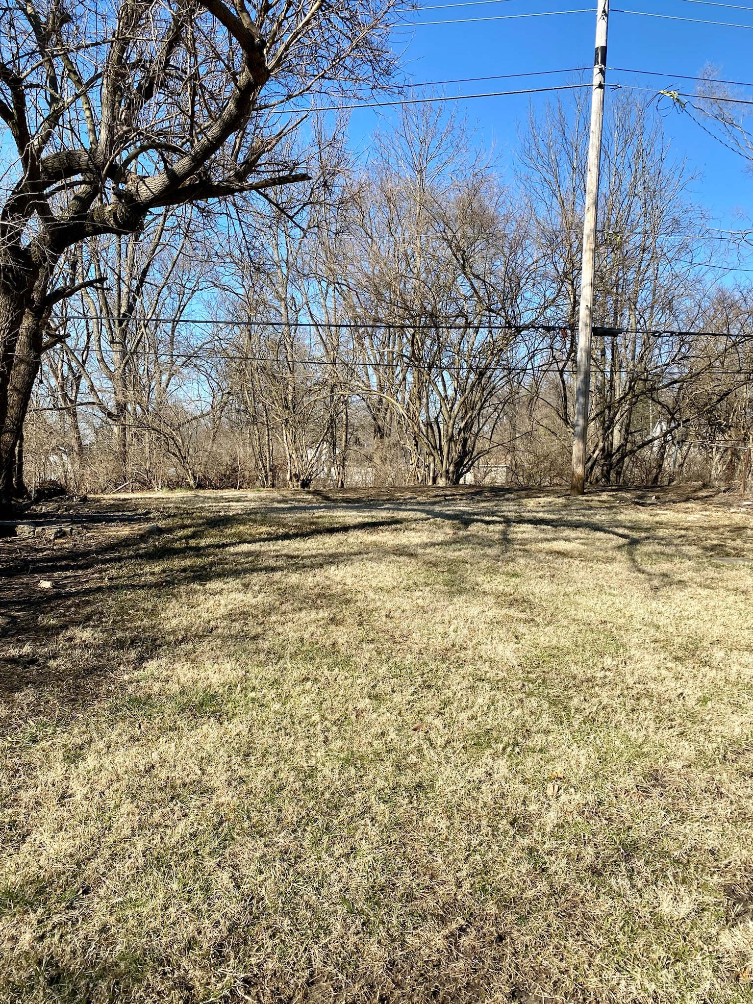 Burgess property photo 12